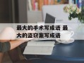 最大的手术写成语 最大的盗窃案写成语