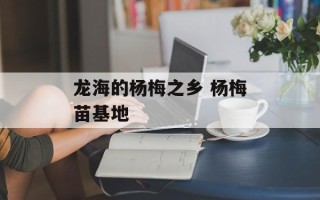 龙海的杨梅之乡 杨梅苗基地