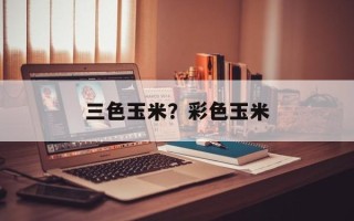 三色玉米？彩色玉米