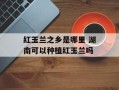 红玉兰之乡是哪里 湖南可以种植红玉兰吗