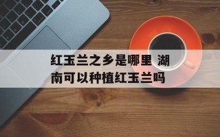 红玉兰之乡是哪里 湖南可以种植红玉兰吗