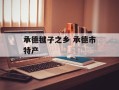 承德毽子之乡 承德市特产