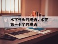 术字开头的成语，术在第一个字的成语