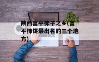陕西富平柿子之乡(富平柿饼最出名的三个地方)