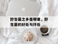 野生菌之乡是哪里，野生菌的好处与坏处