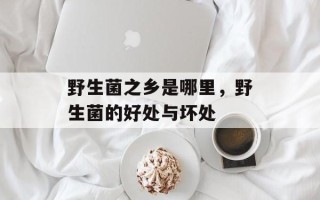 野生菌之乡是哪里，野生菌的好处与坏处