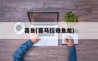 喜鱼(喜马拉雅鱼龙)