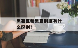 黑芸豆和黑豆到底有什么区别？