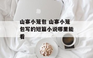 山寨小笼包 山寨小笼包写的短篇小说哪里能看