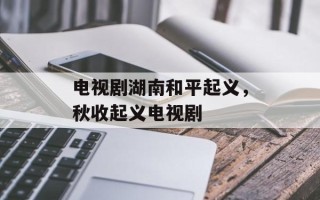 电视剧湖南和平起义，秋收起义电视剧