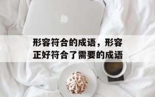 形容符合的成语，形容正好符合了需要的成语