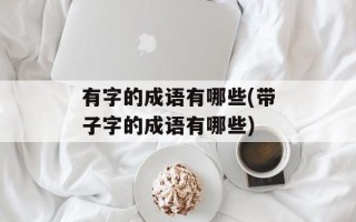 有字的成语有哪些(带子字的成语有哪些)