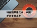 特克斯苹果之乡，中国十大苹果之乡