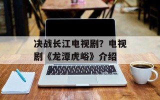决战长江电视剧？电视剧《龙潭虎峪》介绍