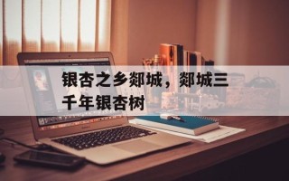 银杏之乡郯城，郯城三千年银杏树