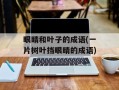 眼睛和叶子的成语(一片树叶挡眼睛的成语)