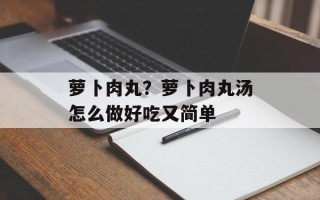 萝卜肉丸？萝卜肉丸汤怎么做好吃又简单