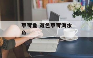 草莓鱼 双色草莓海水鱼