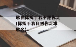 歌曲挥挥手我不愿你走(挥挥手我目送你走求歌名)