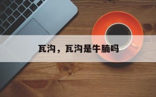 瓦沟，瓦沟是牛腩吗