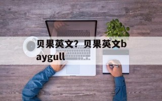 贝果英文？贝果英文baygull