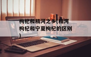枸杞和精河之乡(精河枸杞和宁夏枸杞的区别)