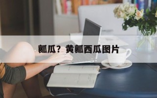 瓤瓜？黄瓤西瓜图片