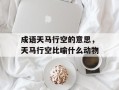 成语天马行空的意思，天马行空比喻什么动物
