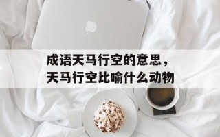 成语天马行空的意思，天马行空比喻什么动物