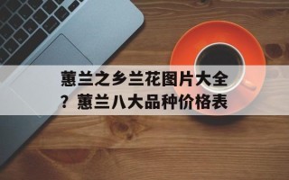 蕙兰之乡兰花图片大全？蕙兰八大品种价格表