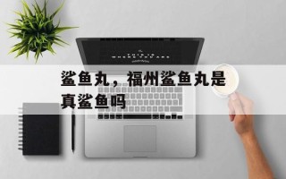 鲨鱼丸，福州鲨鱼丸是真鲨鱼吗