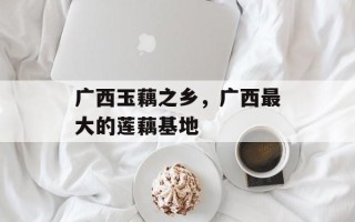 广西玉藕之乡，广西最大的莲藕基地