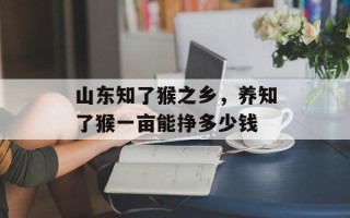 山东知了猴之乡，养知了猴一亩能挣多少钱