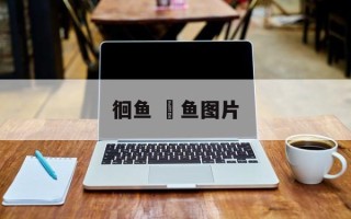 徊鱼 鮰鱼图片