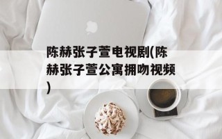 陈赫张子萱电视剧(陈赫张子萱公寓拥吻视频)