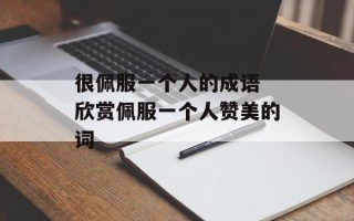 很佩服一个人的成语 欣赏佩服一个人赞美的词