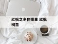 红枫之乡在哪里 红枫树苗