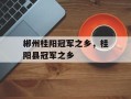 郴州桂阳冠军之乡，桂阳县冠军之乡