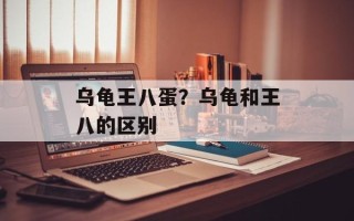 乌龟王八蛋？乌龟和王八的区别