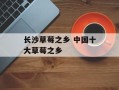 长沙草莓之乡 中国十大草莓之乡