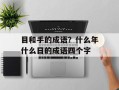 目和手的成语？什么年什么日的成语四个字