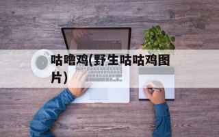 咕噜鸡(野生咕咕鸡图片)