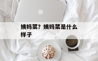 姨妈菜？姨妈菜是什么样子