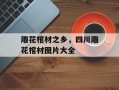 雕花棺材之乡，四川雕花棺材图片大全