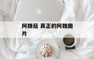 阿魏菇 真正的阿魏图片