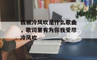 我被冷风吹是什么歌曲，歌词里有为你我受尽冷风吹
