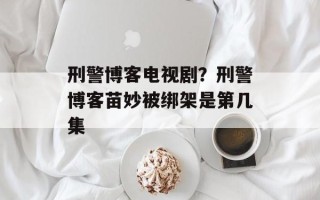 刑警博客电视剧？刑警博客苗妙被绑架是第几集