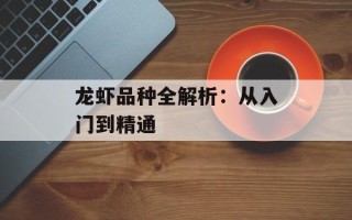 龙虾品种全解析：从入门到精通