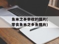 鱼米之乡丰收的图片(零食鱼米之乡鱼图片)