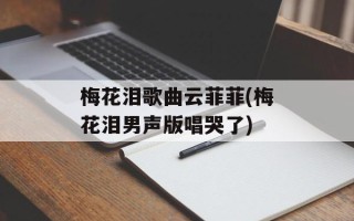 梅花泪歌曲云菲菲(梅花泪男声版唱哭了)